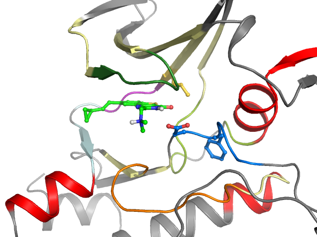 The orthosteric binding pocket