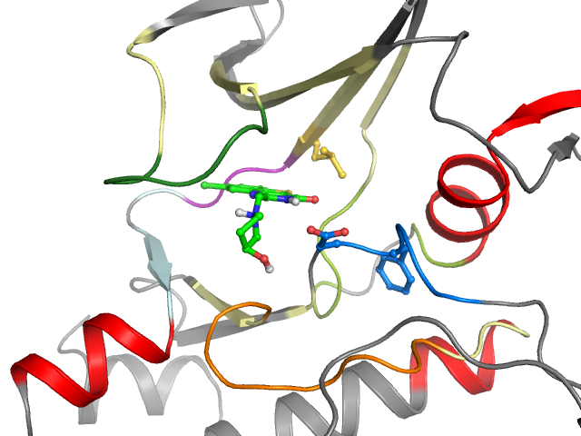 The orthosteric binding pocket