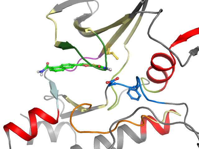 The orthosteric binding pocket