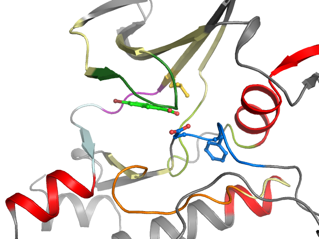 The orthosteric binding pocket