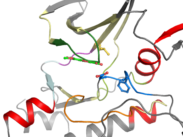 The orthosteric binding pocket