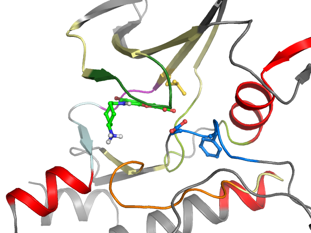The orthosteric binding pocket