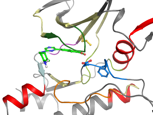 The orthosteric binding pocket
