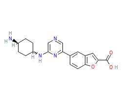 2D structure of the orthosteric ligand