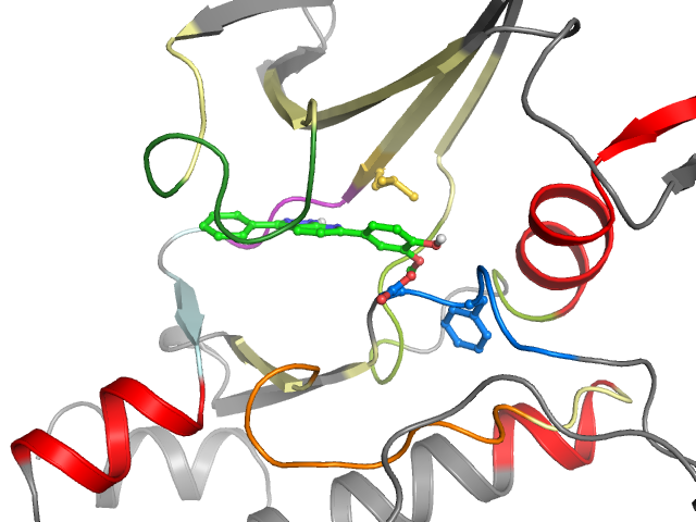 The orthosteric binding pocket