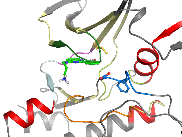The orthosteric binding pocket