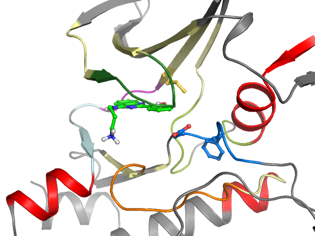 The orthosteric binding pocket