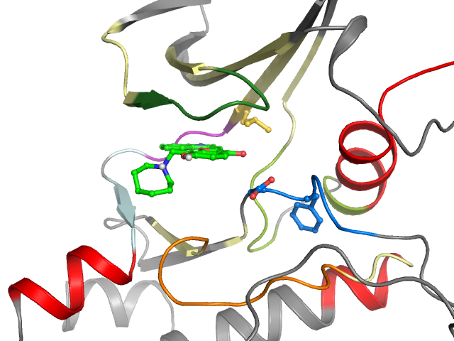 The orthosteric binding pocket