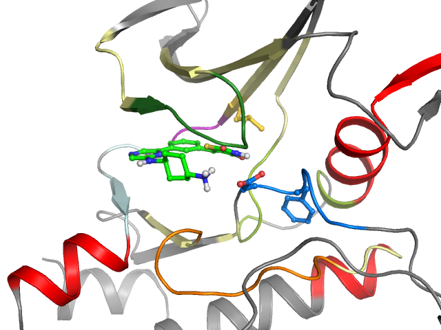 The orthosteric binding pocket