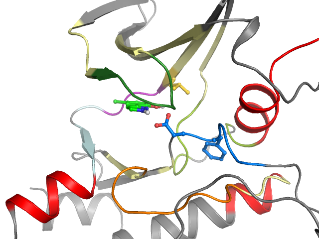 The orthosteric binding pocket