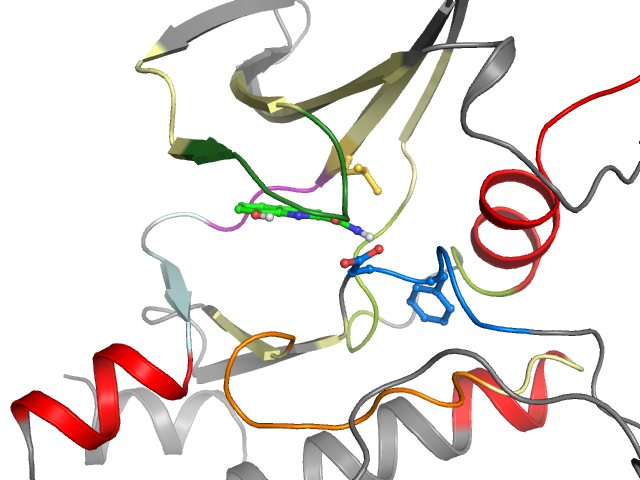 The orthosteric binding pocket