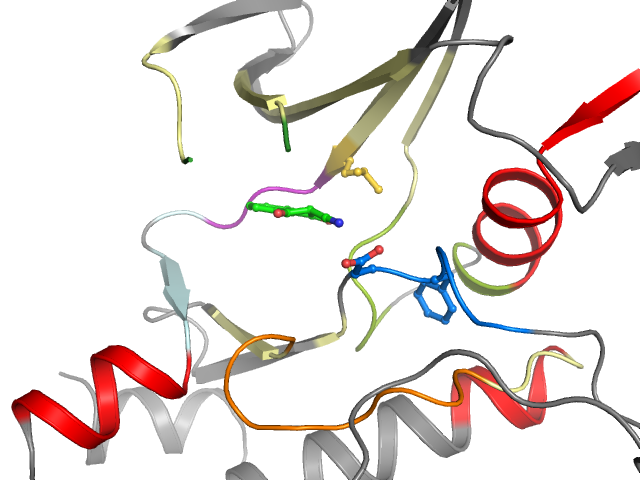 The orthosteric binding pocket