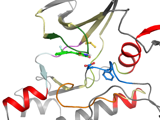 The orthosteric binding pocket