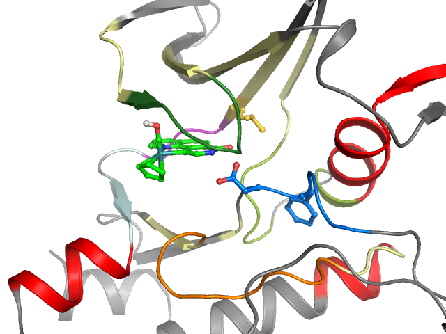 The orthosteric binding pocket