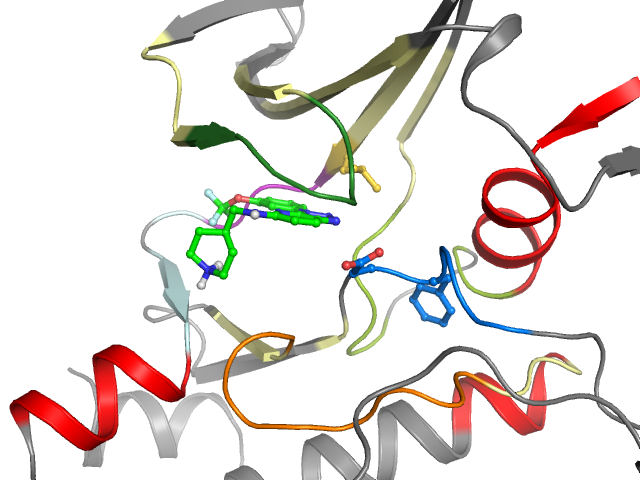 The orthosteric binding pocket