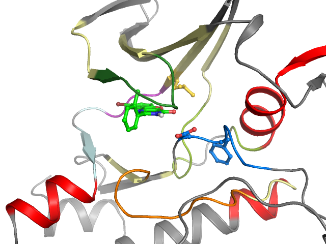 The orthosteric binding pocket