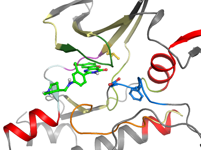 The orthosteric binding pocket