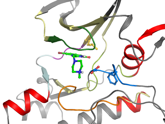 The orthosteric binding pocket