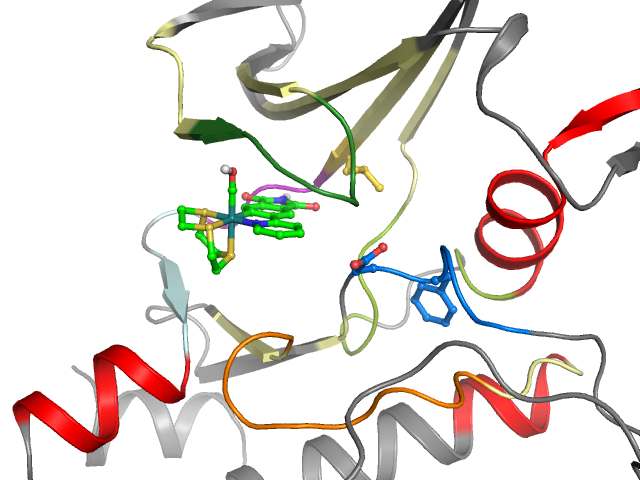 The orthosteric binding pocket