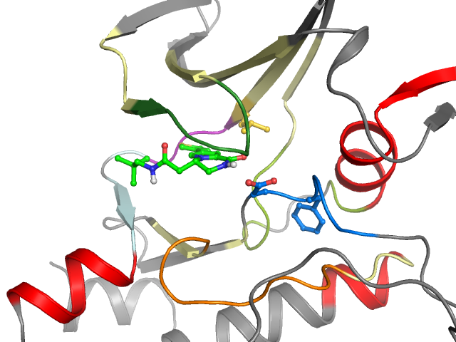 The orthosteric binding pocket