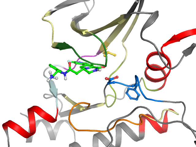 The orthosteric binding pocket