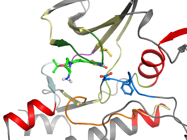 The orthosteric binding pocket