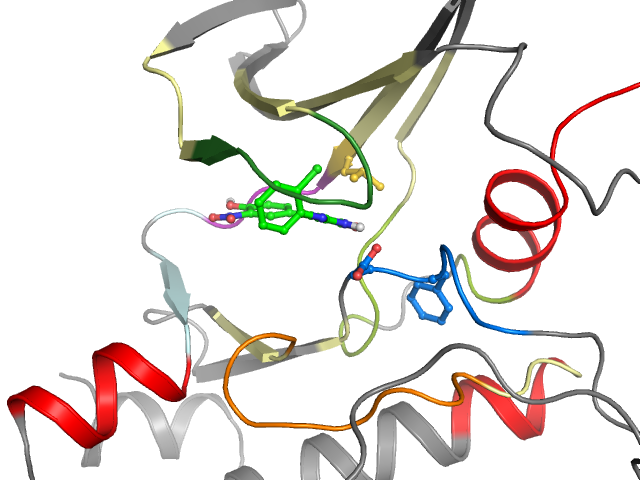 The orthosteric binding pocket