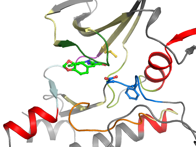 The orthosteric binding pocket