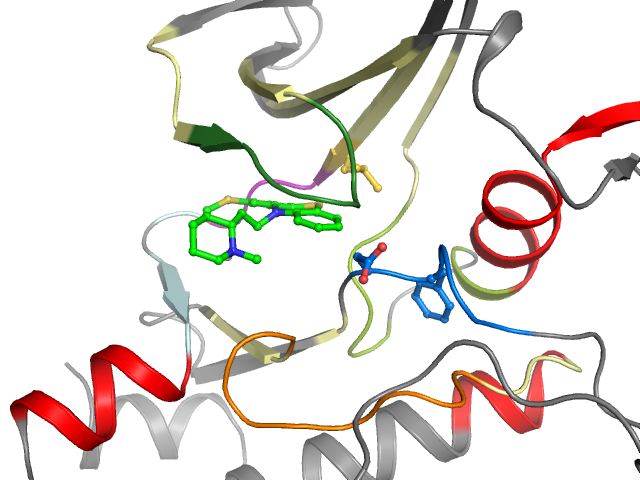 The orthosteric binding pocket
