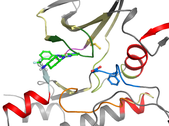 The orthosteric binding pocket