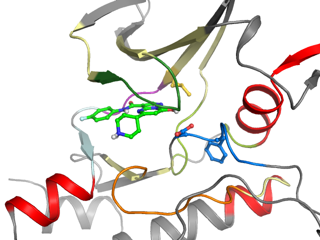 The orthosteric binding pocket