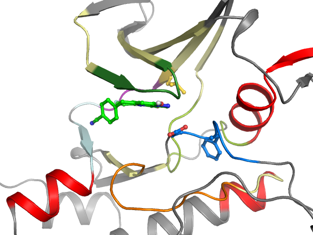 The orthosteric binding pocket