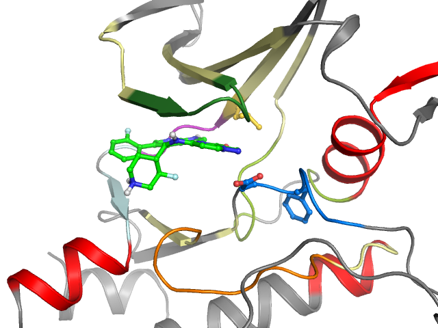 The orthosteric binding pocket
