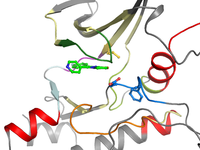 The orthosteric binding pocket