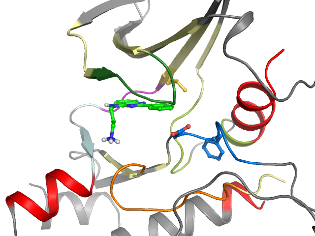 The orthosteric binding pocket