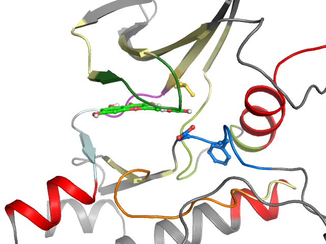 The orthosteric binding pocket