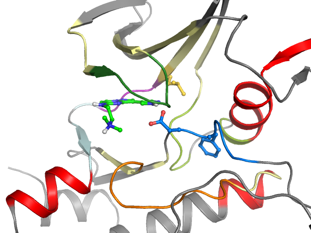 The orthosteric binding pocket