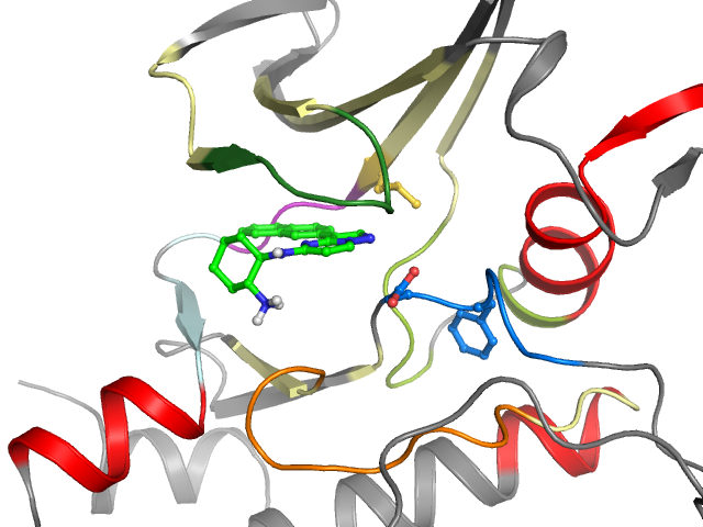 The orthosteric binding pocket