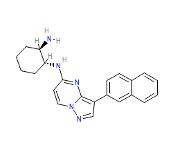 2D structure of the orthosteric ligand