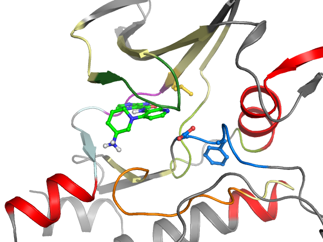 The orthosteric binding pocket