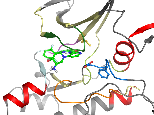 The orthosteric binding pocket