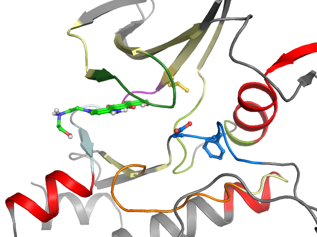 The orthosteric binding pocket