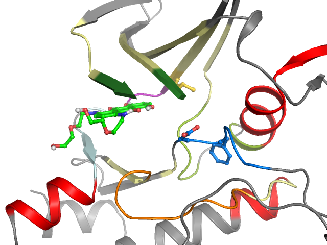 The orthosteric binding pocket