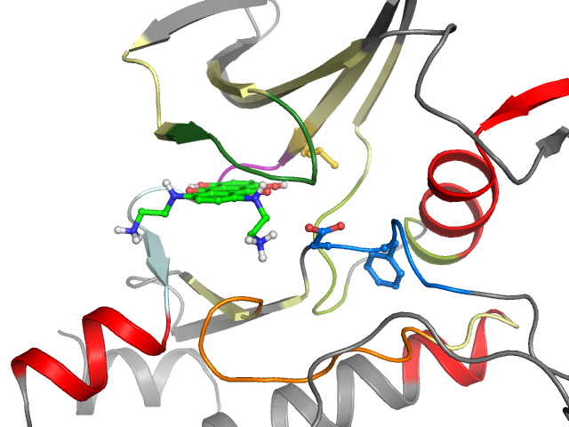 The orthosteric binding pocket