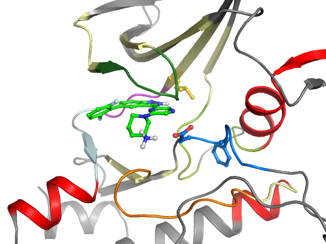 The orthosteric binding pocket