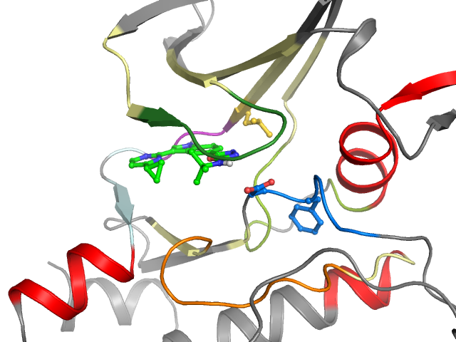 The orthosteric binding pocket