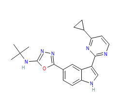 2D structure of the orthosteric ligand