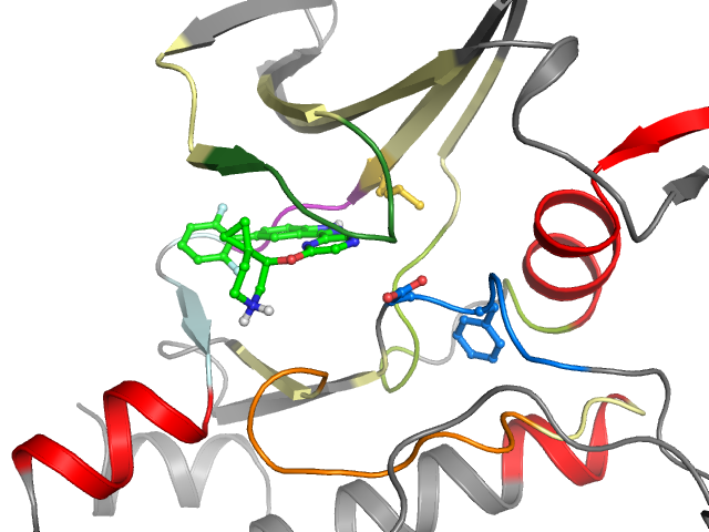 The orthosteric binding pocket