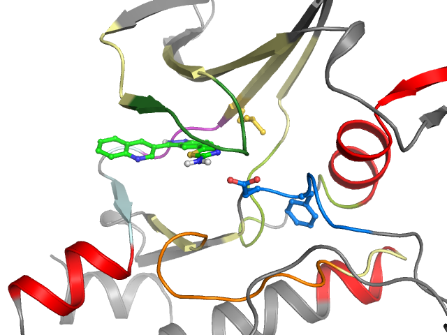 The orthosteric binding pocket