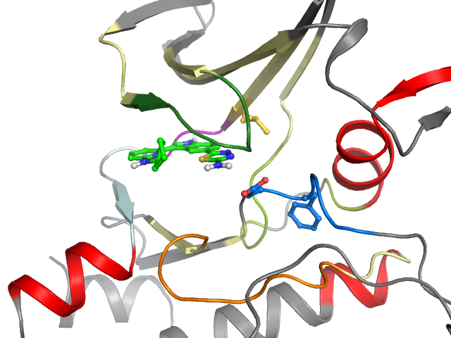 The orthosteric binding pocket